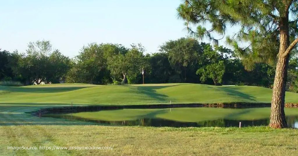 Jersey Meadows Golf Course